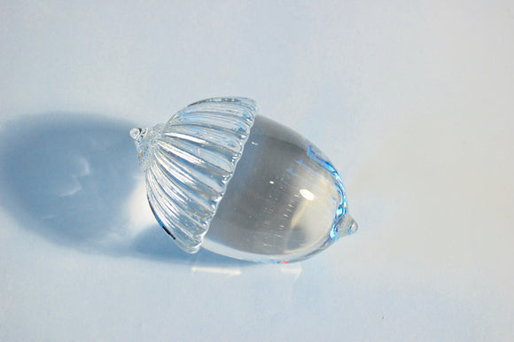 Acorn #6